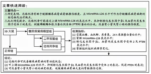 大鼠糖尿病肾病(stz大鼠糖尿病)
