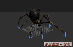 蚂蚁跟蜘蛛是昆虫吗，你能分辨吗这是蚂蚁