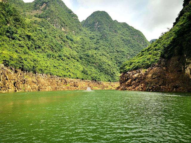 罗平油菜花最佳时间，去罗平看油菜花攻略
