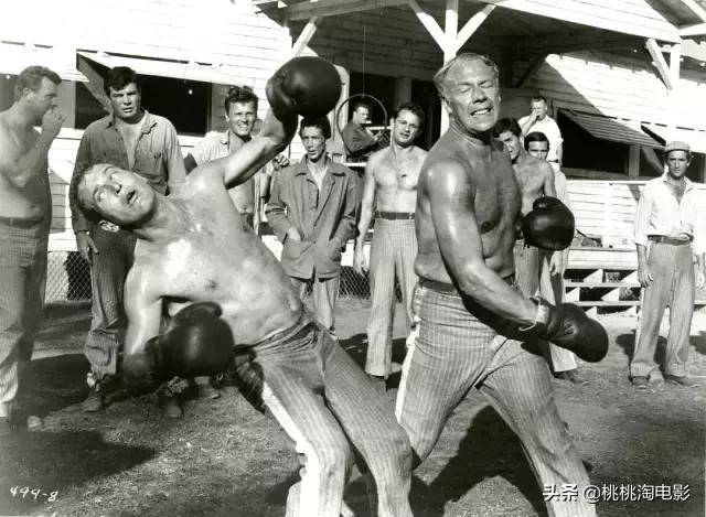 最值得看的电影，100部最值得看的电影名单（16部补充心灵能量的高分电影）