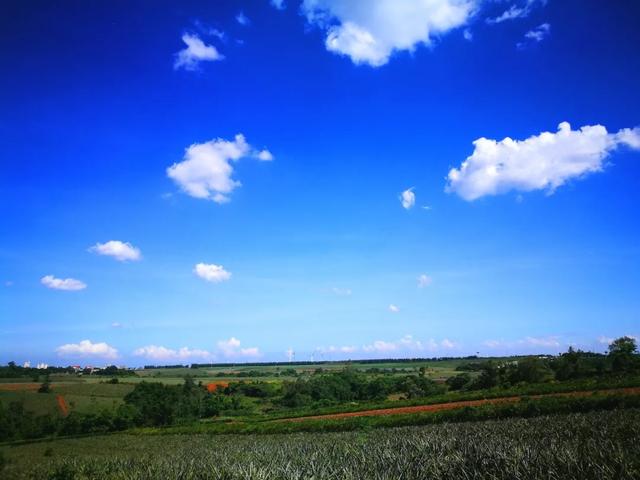 广东湛江旅游攻略，湛江旅游攻略最全攻略（广东省湛江市赤坎区十大景区有哪些）