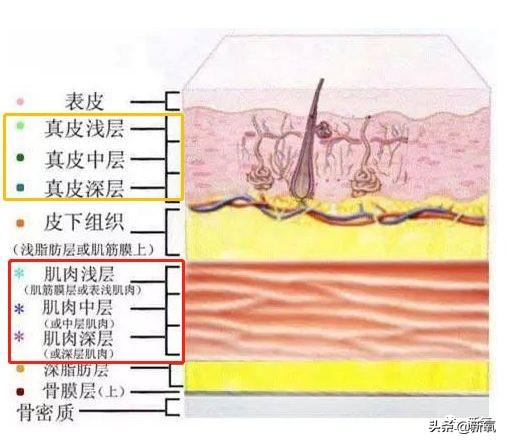 61岁周华健为31岁儿子庆生，31岁儿子留长发满嘴胡子