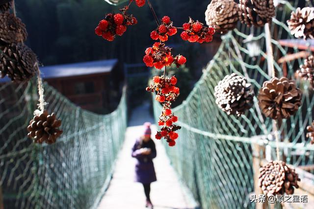 宁波风景好的小村落，宁波44个森林乡村