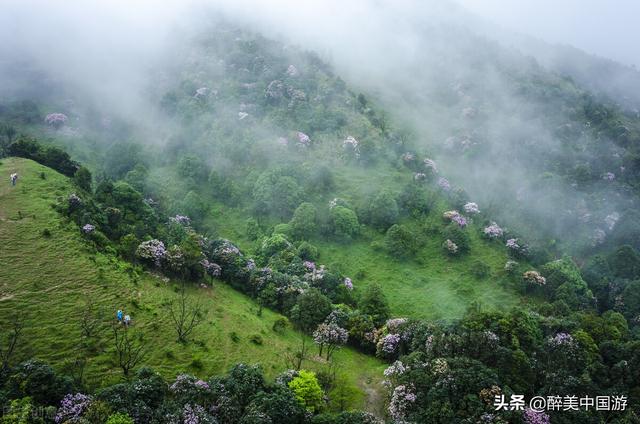 五一旅游最佳去处，五一去的旅游景点推荐（这些景点让你享受轻松愉快的假期时光）