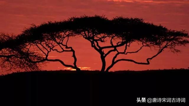 铜官窑瓷器题诗，最著名的十首爱情诗
