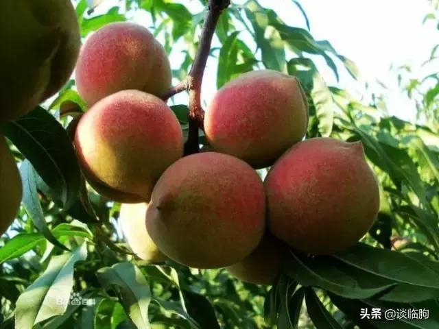 嵩山风景区一日游，又到春天旅游季