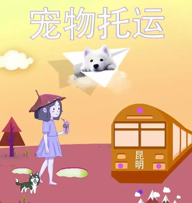宠物可以上飞机客舱了，宠物也能坐火车和飞机了