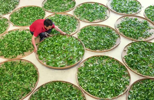 大桶乌龙茶饮料，桔品课堂你不知道的闽南乌龙