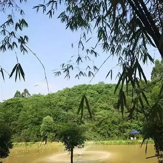 成都周边好玩的农家乐推荐，成都这4个冷门农家乐
