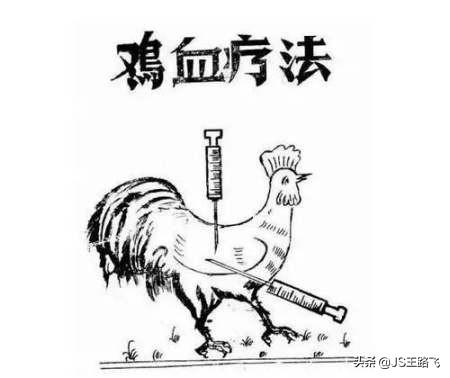 打鸡血是什么意思，每天都在打鸡血是什么意思（“鸡娃”鸡出个啥未来）