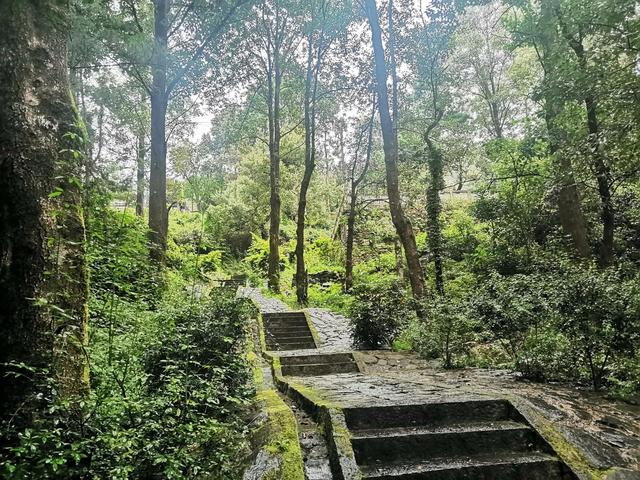 大理苍山游玩攻略，大理苍山旅游攻略自助游（大理苍山游玩攻略）