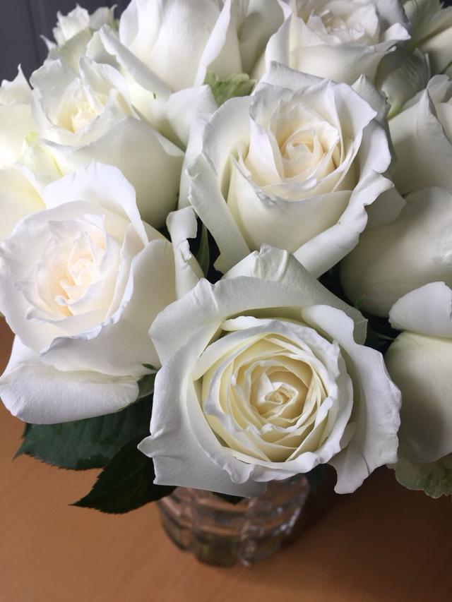 带刺的玫瑰花图片，玫瑰花带刺的品种（摄影#图片：多彩的刺玫瑰花…）