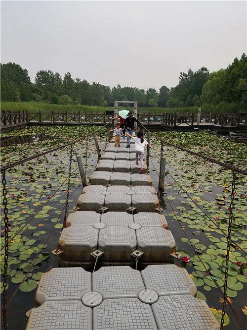 泰州溱湖湿地公园，江苏溱湖国家湿地公园（泰州溱湖国家湿地公园）