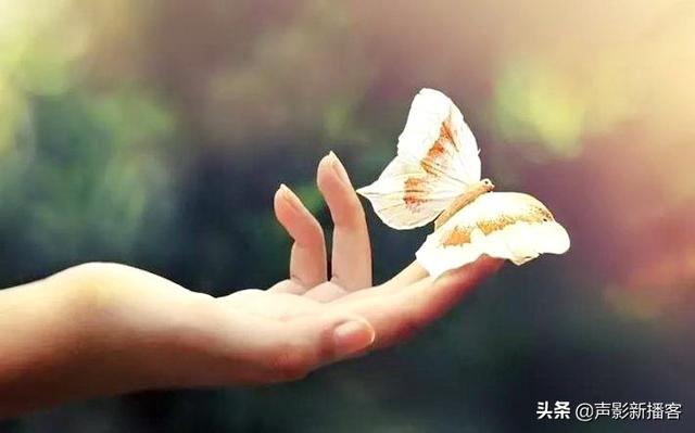 电影盲山中的人物分析，电影盲山在深刻的社会现实下对人性的揭露