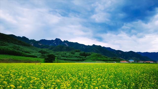 本溪市属于哪个省，辽宁本溪市都有哪些区