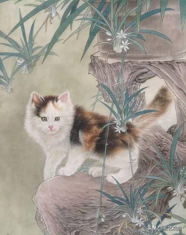 100种小猫怎么画，100种画真猫的画法（教你在纸上养个主子）