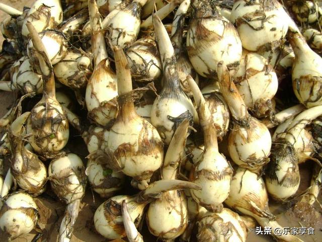 炒茨菇最好吃的做法，茨菇这样做味道鲜美