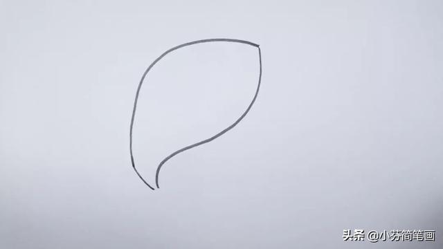 大鲨鱼简笔画简单又好看，海里最凶猛的大白鲨绘画步骤