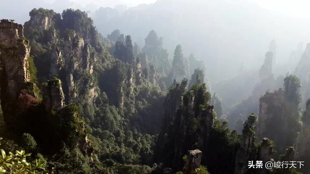 阿凡达拍摄地张家界的什么地方，“取景产业”，城市新动能