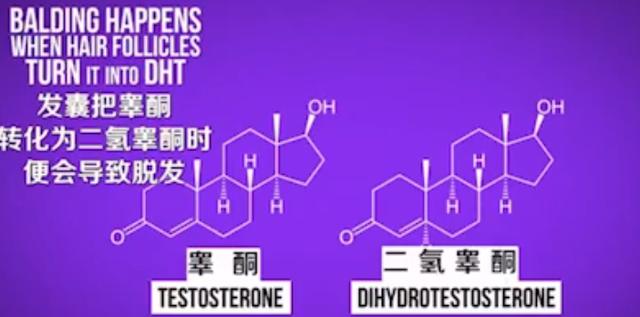 科学冷知识小妙招，那些神奇的秘密<第二十期>