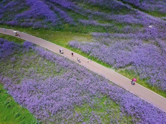 贵州兴义马岭河峡谷风景介绍，万峰成林峡谷飞瀑