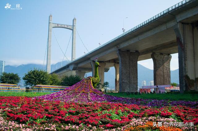 福建福州旅游攻略，福州旅游攻略自由行五日游（福建之福州游玩攻略）