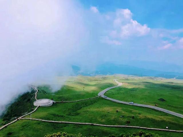 遇见最美的小镇，去针灸小镇赴一场玉兰之约~