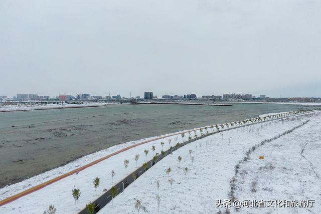 石家庄下雪了吗，河北省石家庄近期下雪时期（石家庄迎来今年首场降雪）
