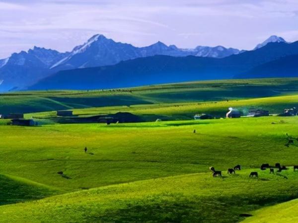 伊犁地区旅游攻略自驾游最佳路线，冬天伊犁最受欢迎的自驾游景点攻略推荐