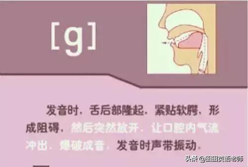 英语音标怎么学，初学英语者必看如何学习国际音标（资深老教师说：音标就该这样学）