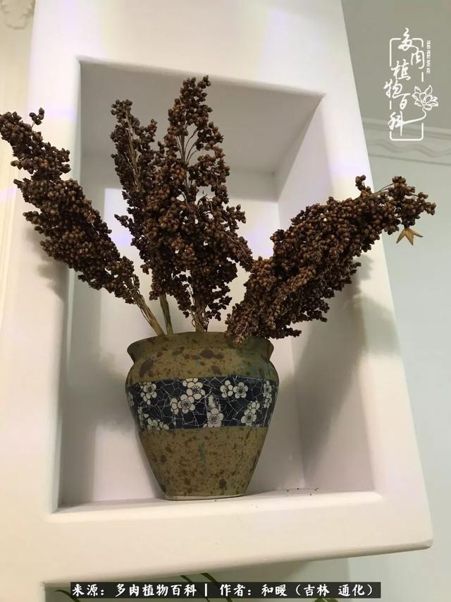 买肉，买肉的正确方法和注意事项