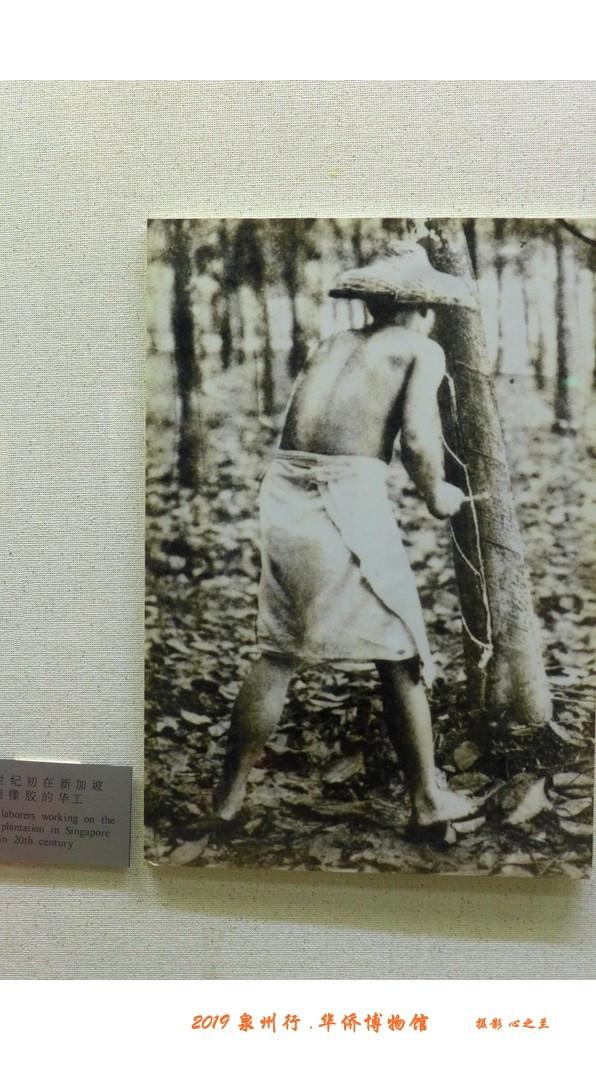 泉州这座博物馆满城皆是宝藏，山海画廊人间福地