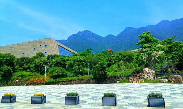 深圳亲子适合去的博物馆，深圳这些宝藏博物馆给你惊喜连连