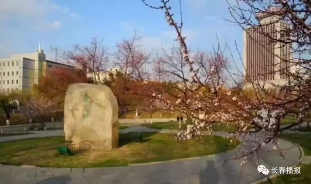 长春市都有哪些公园可以玩，长春市这些文化主题公园你都去过吗