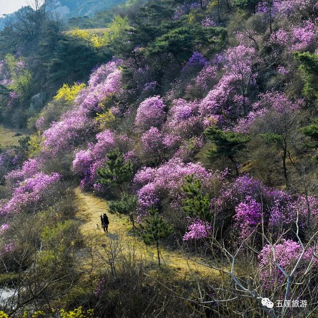 贵州六个小众山，徒步登山爱好者的天堂