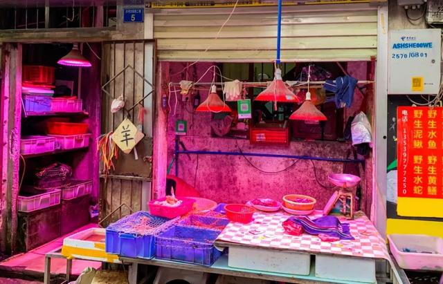 广州沙河服装拿货网，一个年轻人梦想起航的地方...