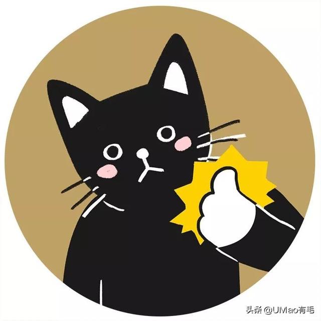 飞机托运猫咪流程，需要办理什么手续