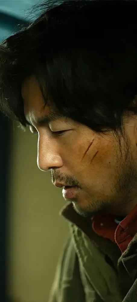 王茜主演的电视剧，精选张嘉译六部经典电视剧