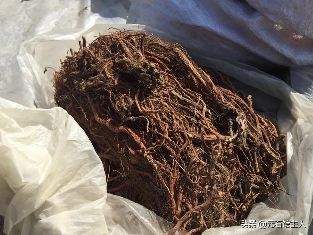 厦门东部最大的大集，“空中视角”带你赶厦门唐王大集