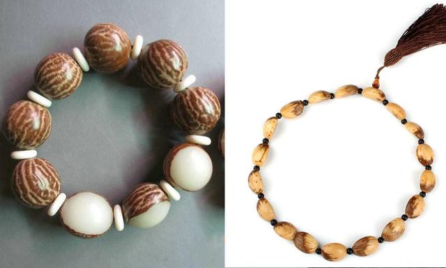 菩提花寓意和象征，白色菩提姐妹花