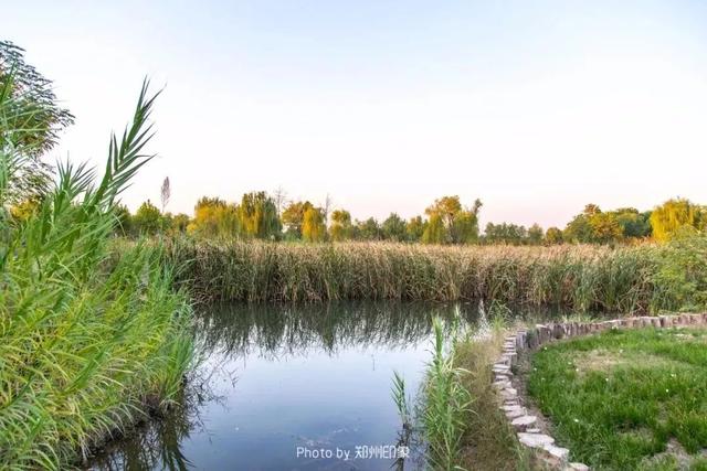 郑州周边免费景点，郑州最近免费旅游景点大全（不出郑州的8个赏花遛娃地）