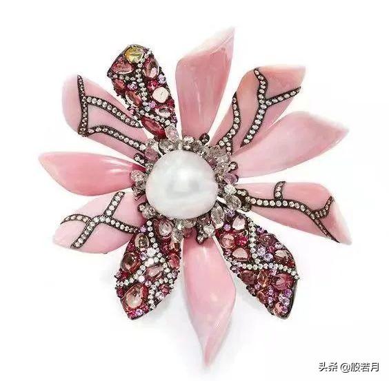 砗磲和白蝶贝，你只知道贝王砗磲