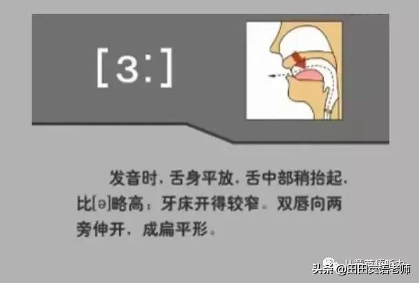 英语音标怎么学，初学英语者必看如何学习国际音标（资深老教师说：音标就该这样学）