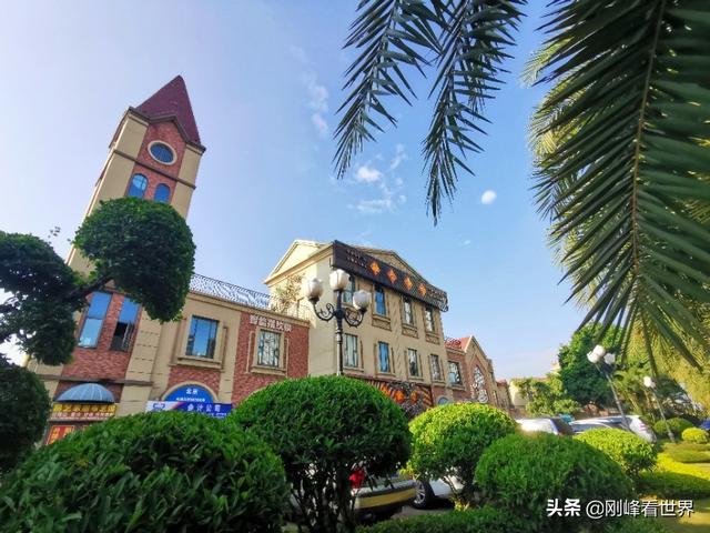 海南省花叫什么花，海南省花——三角梅