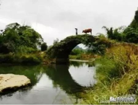 河南李氏家谱24个字辈，中华李氏家谱字辈大全