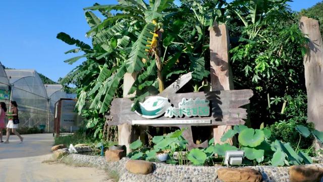 深圳必去的打卡地方，深圳必须去的50个地方