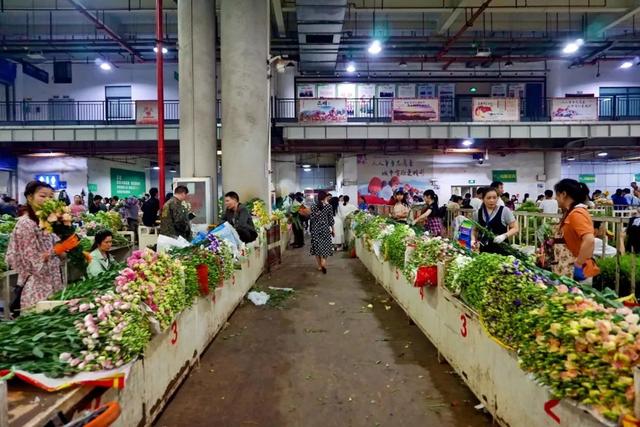 便宜又实惠的鲜花市场，打卡全国最大的鲜花批发市场