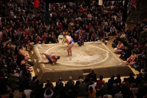 japanese肥胖(日本肥胖违法谣言)