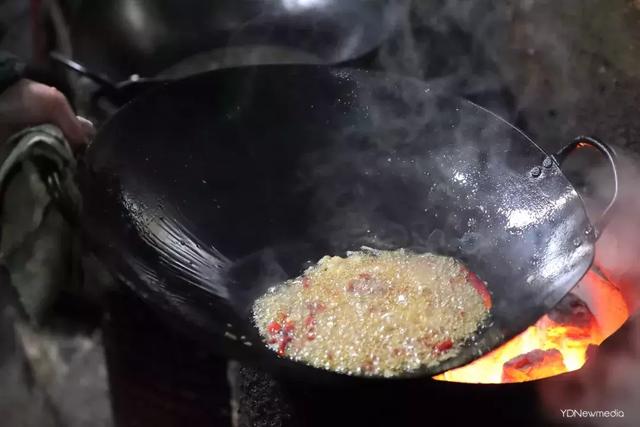 黑龙潭鲶鱼王，电工都搞不定的鲶鱼王