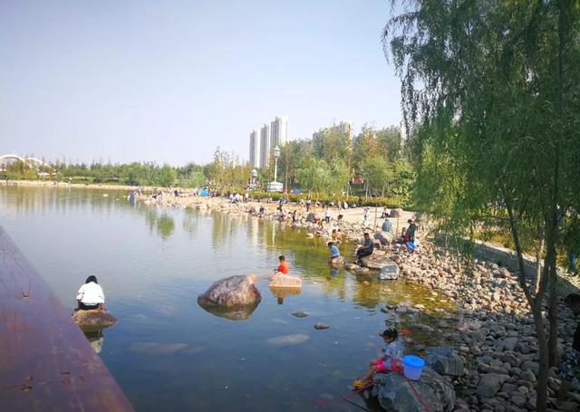 郑州周边免费景点，郑州最近免费旅游景点大全（不出郑州的8个赏花遛娃地）